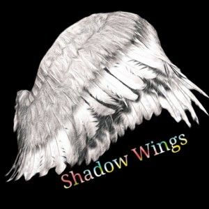 Shop Policies: Shadow Wings